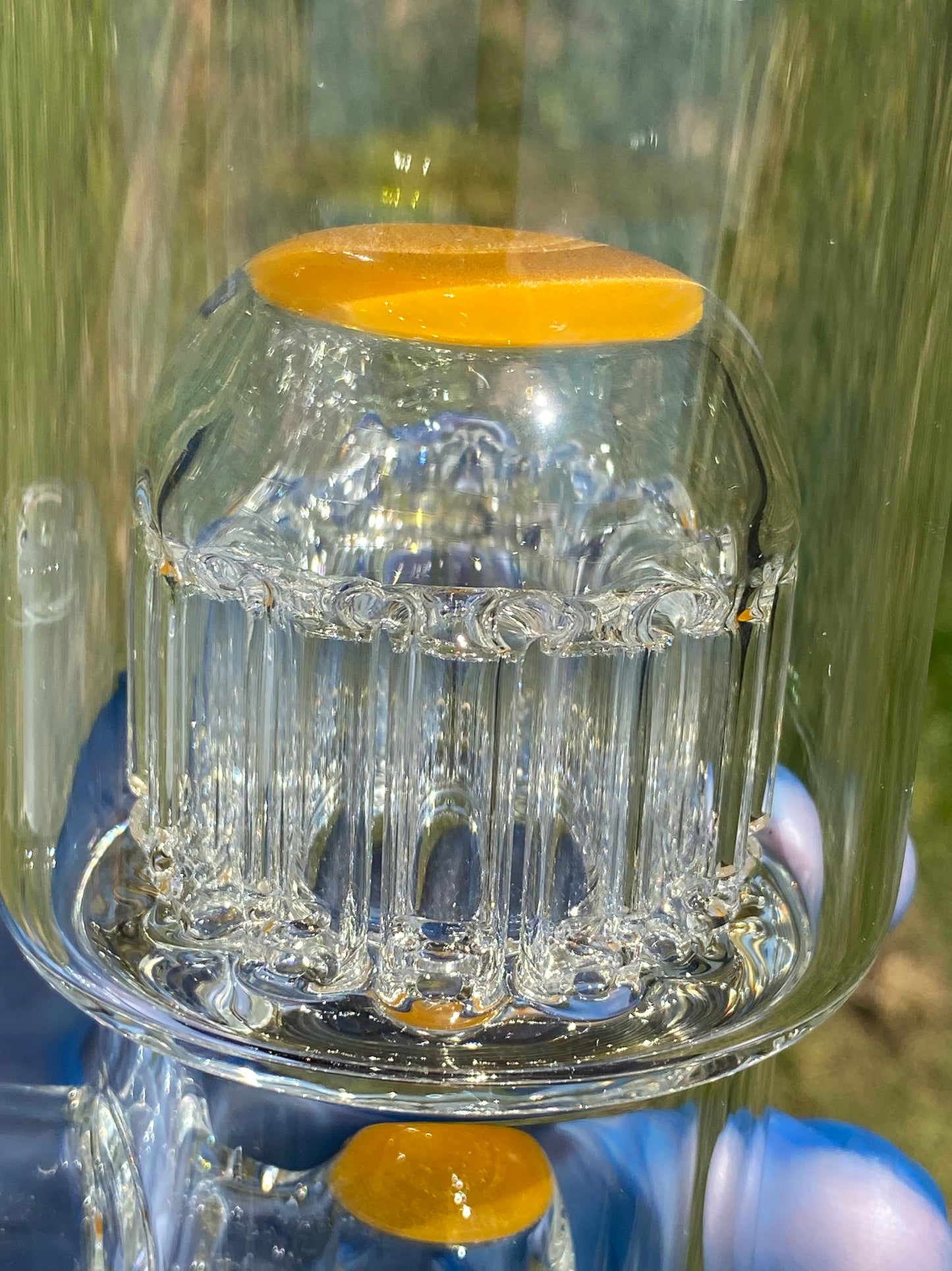 Toro Shrub Coloured Caps