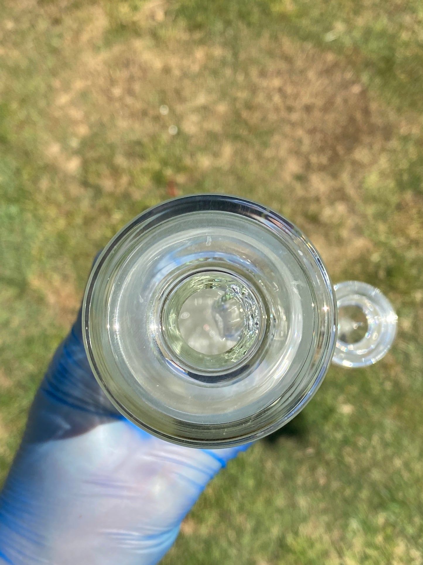 Hamster Works Clear Inside/Outside